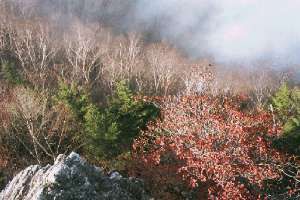 両神山稜線にて