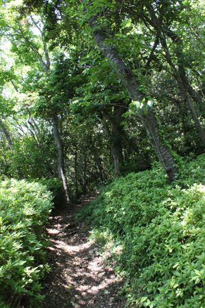 東峰広場へ続く登路