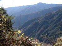 振り返り眺める権現山
