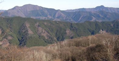 笹尾根から御前山(左)、大岳山