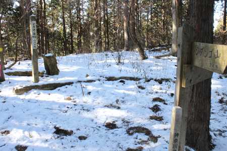 雪に覆われたダルマ沢ノ頭山頂。