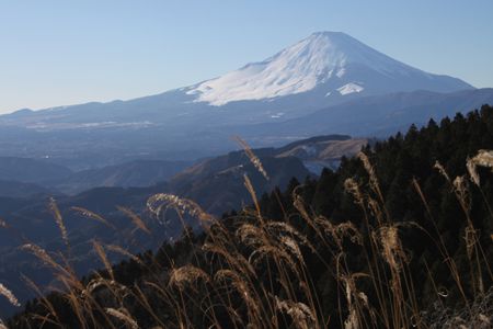 高松山頂から富士山。中景は大野山。