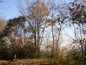 静かな四方津御前山山頂