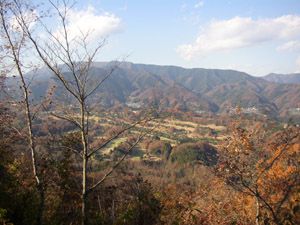 アンテナ施設脇より権現山を望む