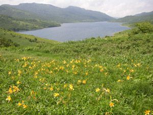 野反峠からニッコウキスゲ咲く野反湖。左奥に鍋蓋のような三壁山。