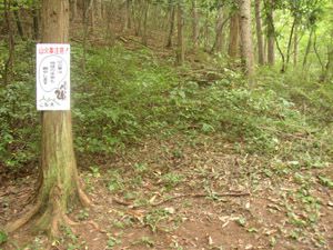 岩堂峠にて。目の前の尾根筋に取り付く。じっさいの取り付き先は左手奥だった。