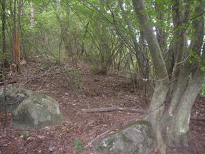 1042m峰の山頂。