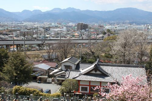 菅原神社の向こう、小田原市街の上に箱根連山