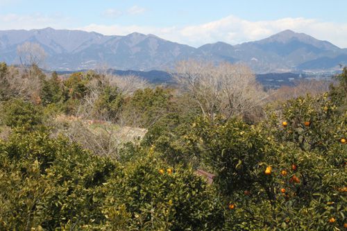 丹沢大山と表尾根