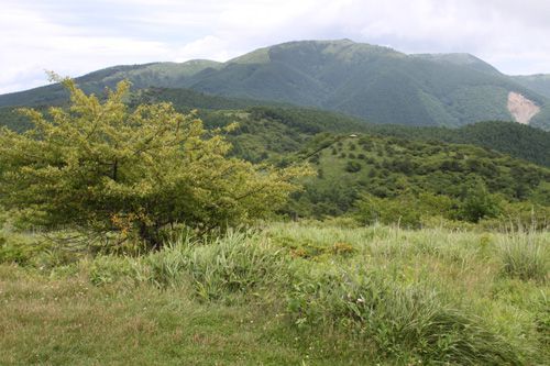 高ボッチ山頂直下の駐車場から望む鉢伏山、左奥は前鉢伏山