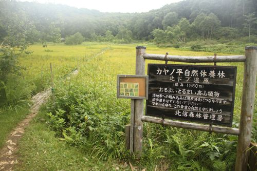北ドブ湿原入り口