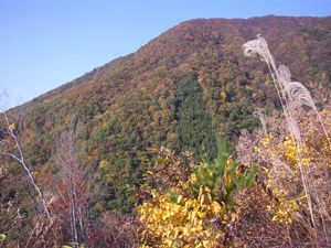 秋色の尾根