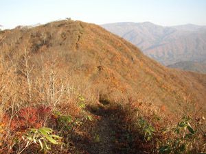 岩室の上のピークより高社山頂を望む、背後は焼額山