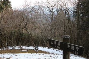 山頂にて。梢越しに箱根の山々が浮かぶ。