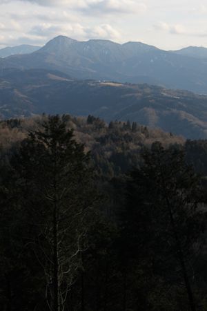 箱根の金時山を遠望、左奥に神山