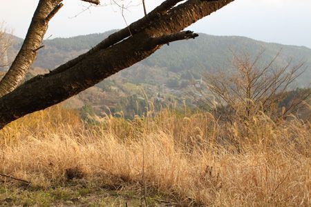 桜平から高松集落方面を俯瞰する