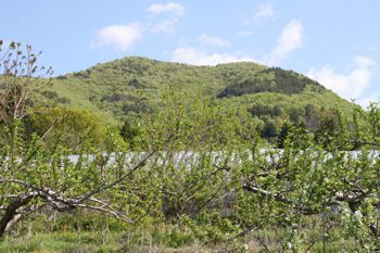 集落内から見上げる天狗山