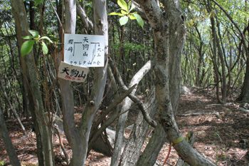 天狗山山頂