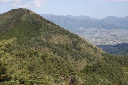 稜線途中から八幡山を振り返る