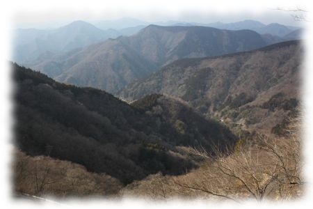 丹沢・ブッツェ平付近から遠見山、左奥に世附権現山