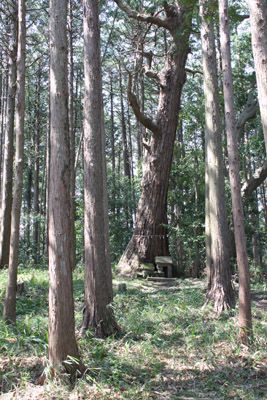 溜池かなり手前の林道沿いにある祠