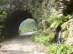 白丸湖脇の旧道トンネル