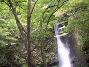 海沢の大滝