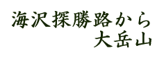 海沢探勝路から大岳山