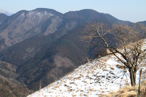 1月の大野山から人遠尾根(正面)と高松山(中央やや右)、左は西ヶ尾