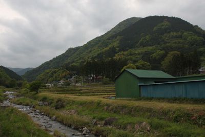 本村バス停近くの内川畔から見上げる矢倉岳