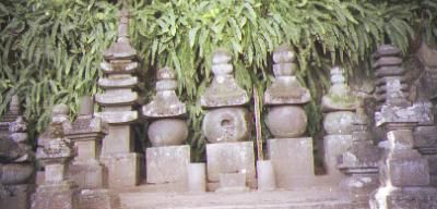 土肥一族の墓石群の一部