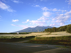 蕎麦の花ですかな？それと八ヶ岳