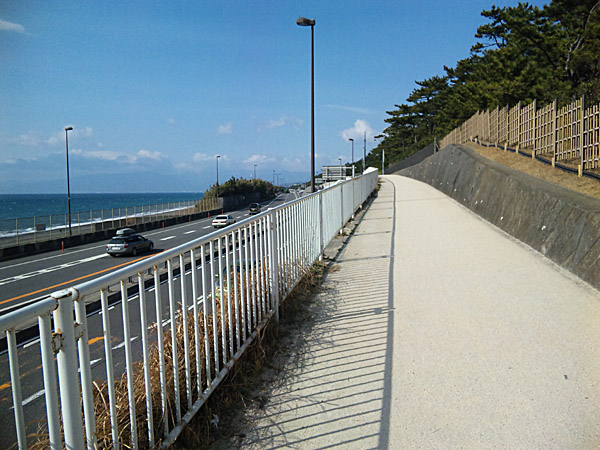 大磯町役場裏の太平洋岸自転車道