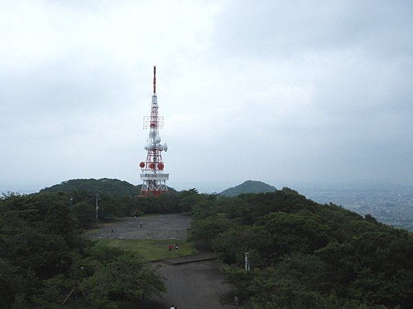 カラーはSage Greenとなっていましたが、実際の印象だとブルーグレー