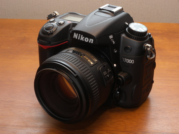 50mm f/1.4Gを装着。上位機種のボディに装備した際と異なり、レンズが存在感をやたらと主張します。