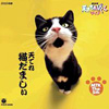 天てれ猫だましぃ　MTK The 5th