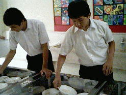 IMAGE09.JPG