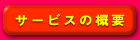 T[rX̊Tv