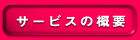 T[rX̊Tv