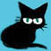 黒猫
