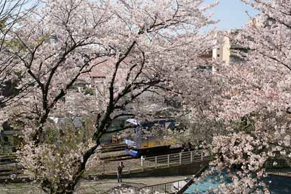 Daikanyama 2005/04/09