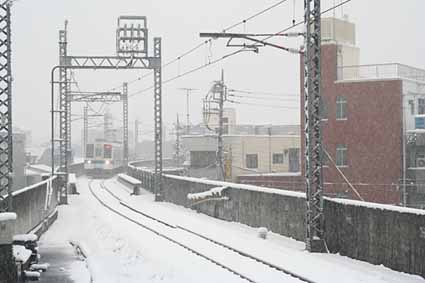 Yakubarai at Nishi-Arai Daishi 2006/01/21