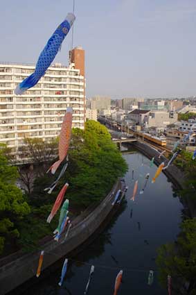 Carp at Tennoh-cho st. 2006/04/24