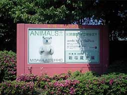 ANIMALS+PLUS