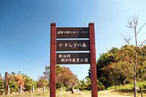 �₷�炬�̐X�Ŕ�