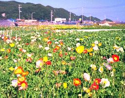 ���Ԕ����̂Q