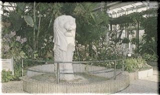 �}�[���C�I���̎ʐ^