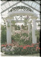 �������̎ʐ^