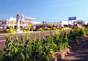 ��[�p���_�C�X�̓����