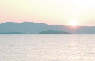 ���̑S�e�̎ʐ^